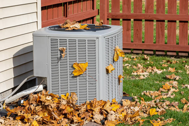 Best HVAC maintenance near me  in Wolf Lake, MI