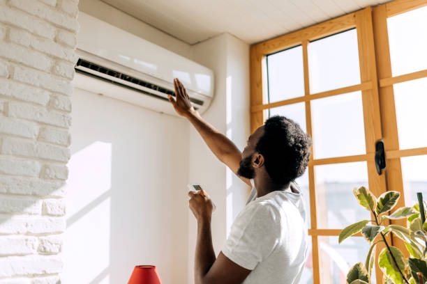 Best Residential HVAC services  in Wolf Lake, MI